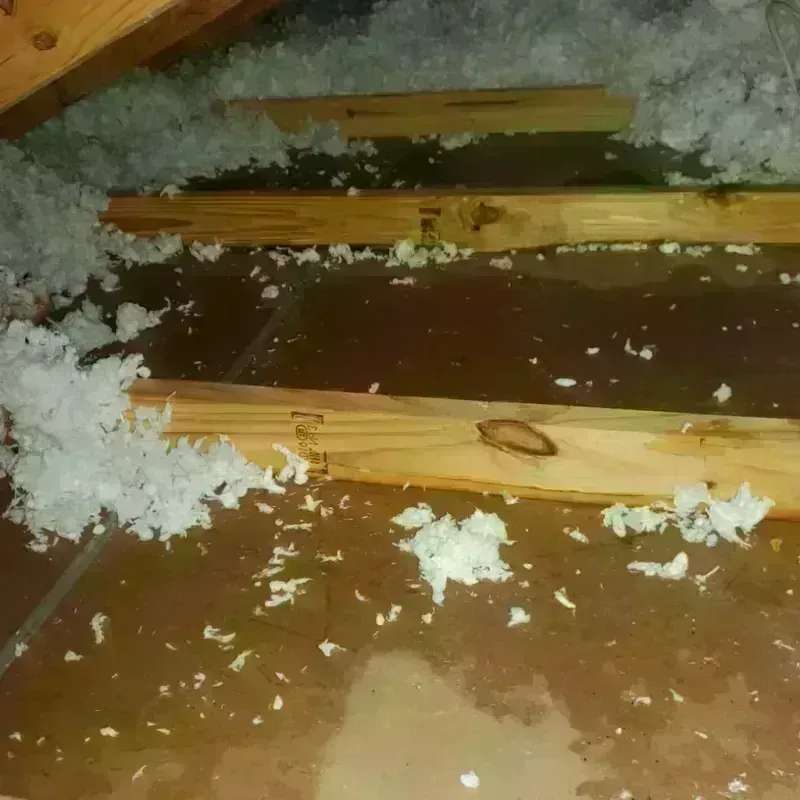 Attic Water Damage in Milton, LA