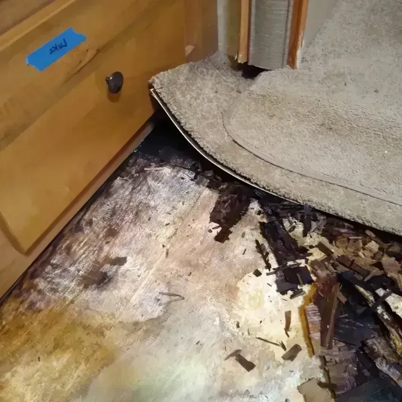 Wood Floor Water Damage in Milton, LA